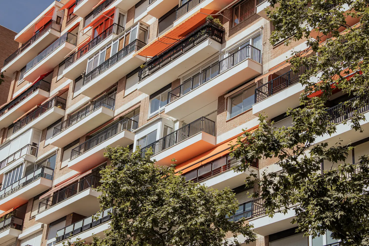 Antifisura en techos y Forjados